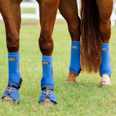 2XCool SMB Leg Boots - Royal Blue
